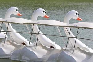duck boat