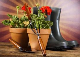 Watering Can and Gardening Gloves photo