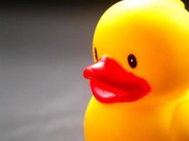 Toy Rubber duck and friends