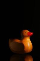 Yellow rubber duck with his reflection in glass, black background