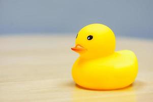 Yellow Rubber Duck isolated on the desk