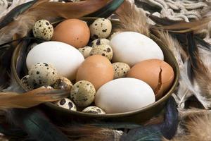 Fresh duck, hen and quail eggs photo