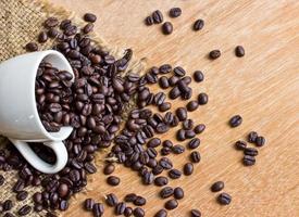 Coffee beans and cup on wood background photo