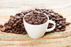 Roasted coffee beans photo