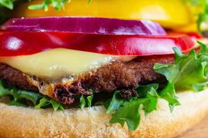 close up of hamburger on white plate photo