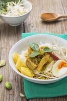 Chicken curry with Thai rice vermicelli photo