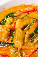 Red savory curry with chicken photo