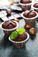 Chocolate muffins photo