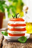 Cheese and tomato tower photo