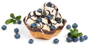 ice cream topped with chocolate and fresh blueberries