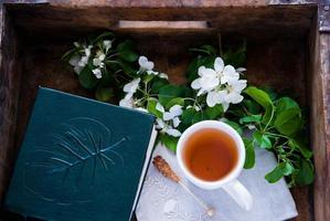 Cup of green tea and blossom