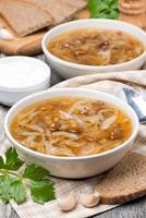 traditional Russian cabbage soup (shchi) with mushrooms