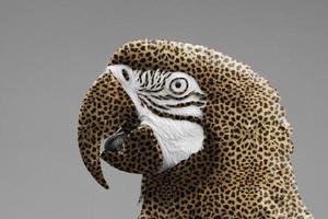Macaw parrot with a leopard print photo