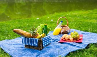 cesta de picnic con frutas, pan y botella de vino blanco.