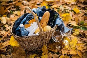 acogedor picnic de otoño