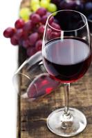 Wine and grape photo
