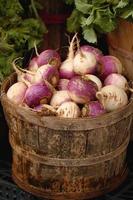 Basket of Turnips photo