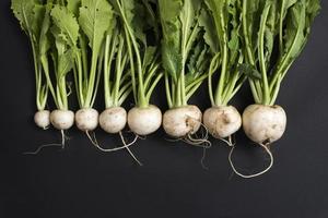 organic, farm grown white turnips isolated on black photo