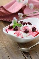 dairy dessert with sweet sauce and cherries