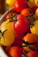 Organic Heirloom Cherry Tomatos photo