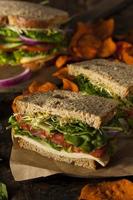 Healthy Vegetarian Veggie Sandwich photo