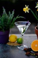 gin botanicals foto