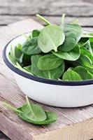 Fresh spinach photo