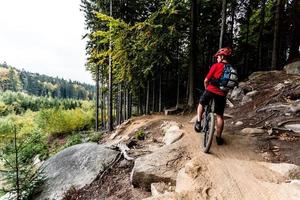 Ciclista de montaña, ciclismo en pista forestal de otoño