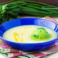 Vegetable soup with green ice cream from herbs, spinach photo