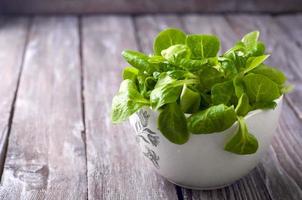 ensalada verde fresca con espinacas foto