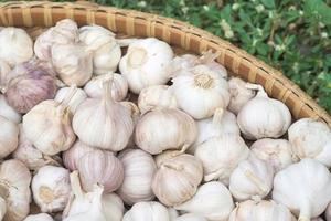 Natural garlic