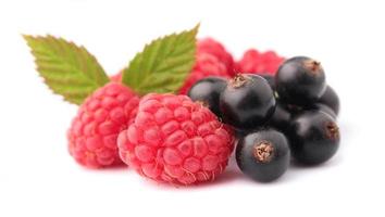 raspberry,black currant on a white background photo