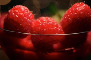 raspberry season