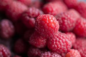 close up raspberry