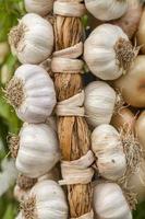 Necklace of garlic organic farming