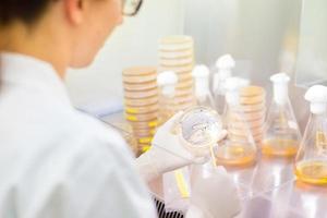 Life science researcher grafting bacteria.