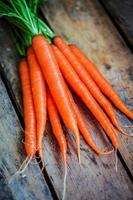 Farm raised organic carrots on wooden background photo