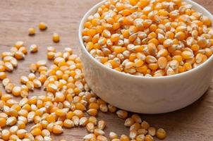 Yellow corn grain photo