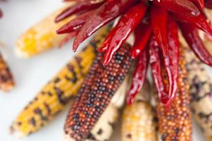 Ristra of chili peppers and corn