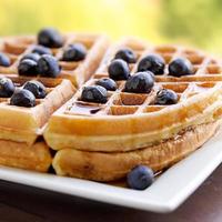 waffles with blueberries photo