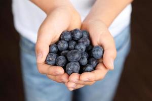 blueberry handful photo