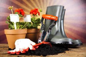 Watering Can and Gardening Gloves photo