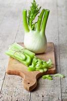 fresh organic celery and fennel photo