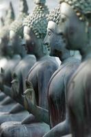 fila de estatuas de Buda
