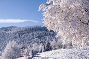 invierno en polonia foto