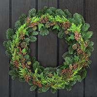Winter Wreath photo