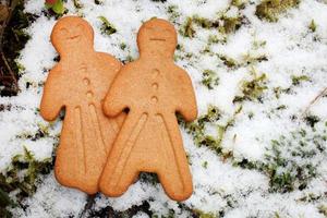 Gingerbread cookies on winter background photo