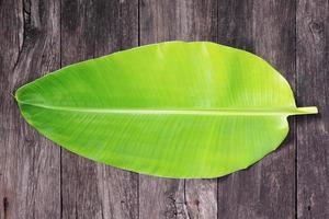 banana leaf photo