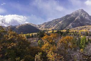 otoño en las montañas wasatch a lo largo del circuito alpino (utah) foto