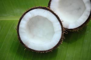 Half Coconut photo